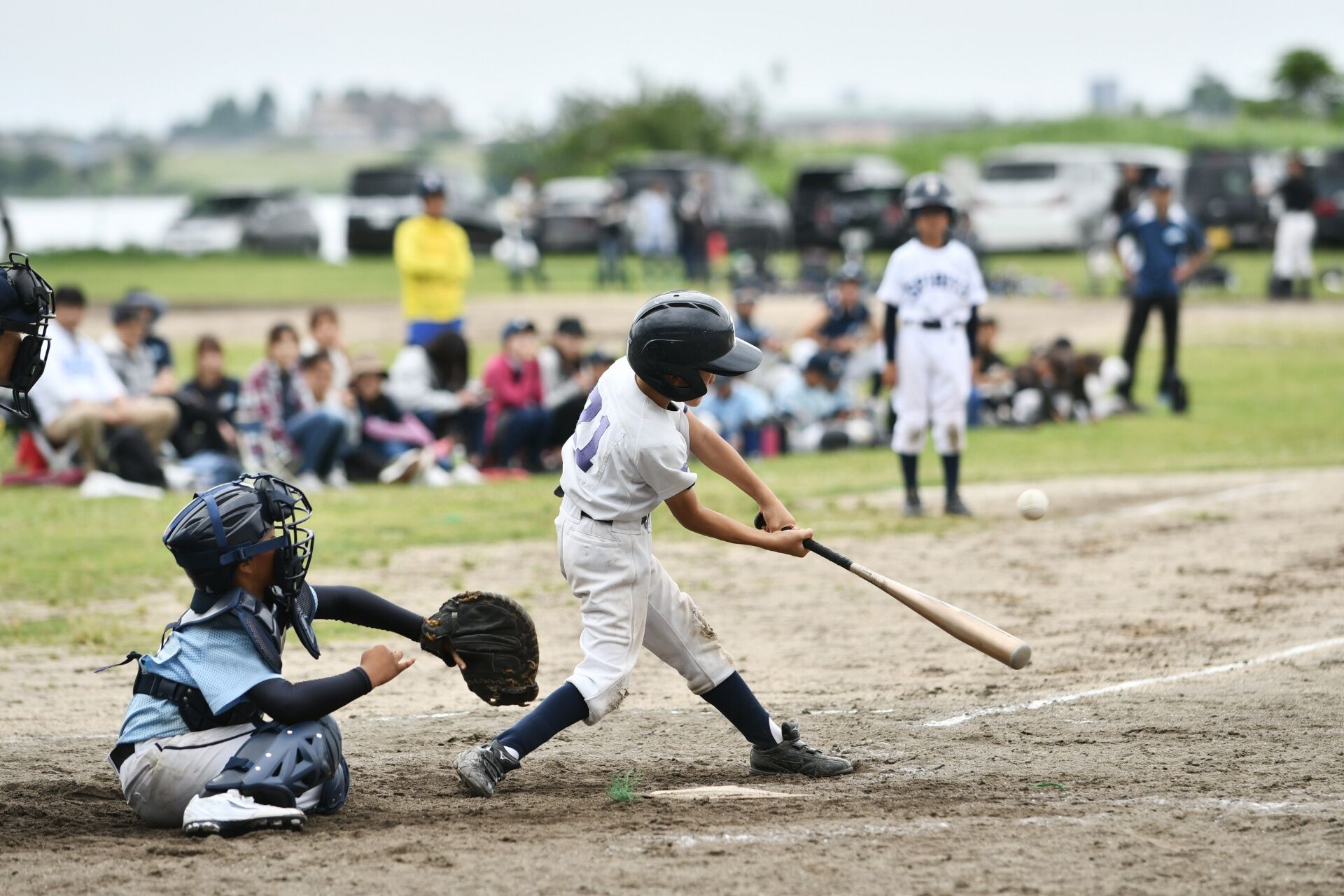 AdobeStock_223173815